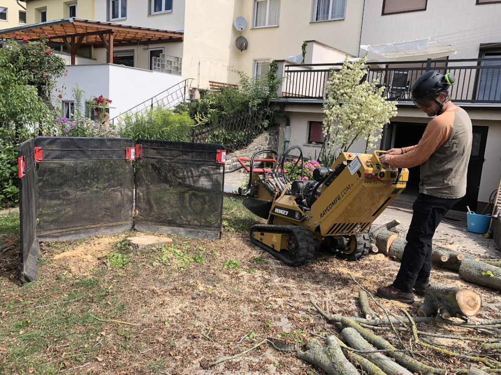 Ausfräsen der Wurzel