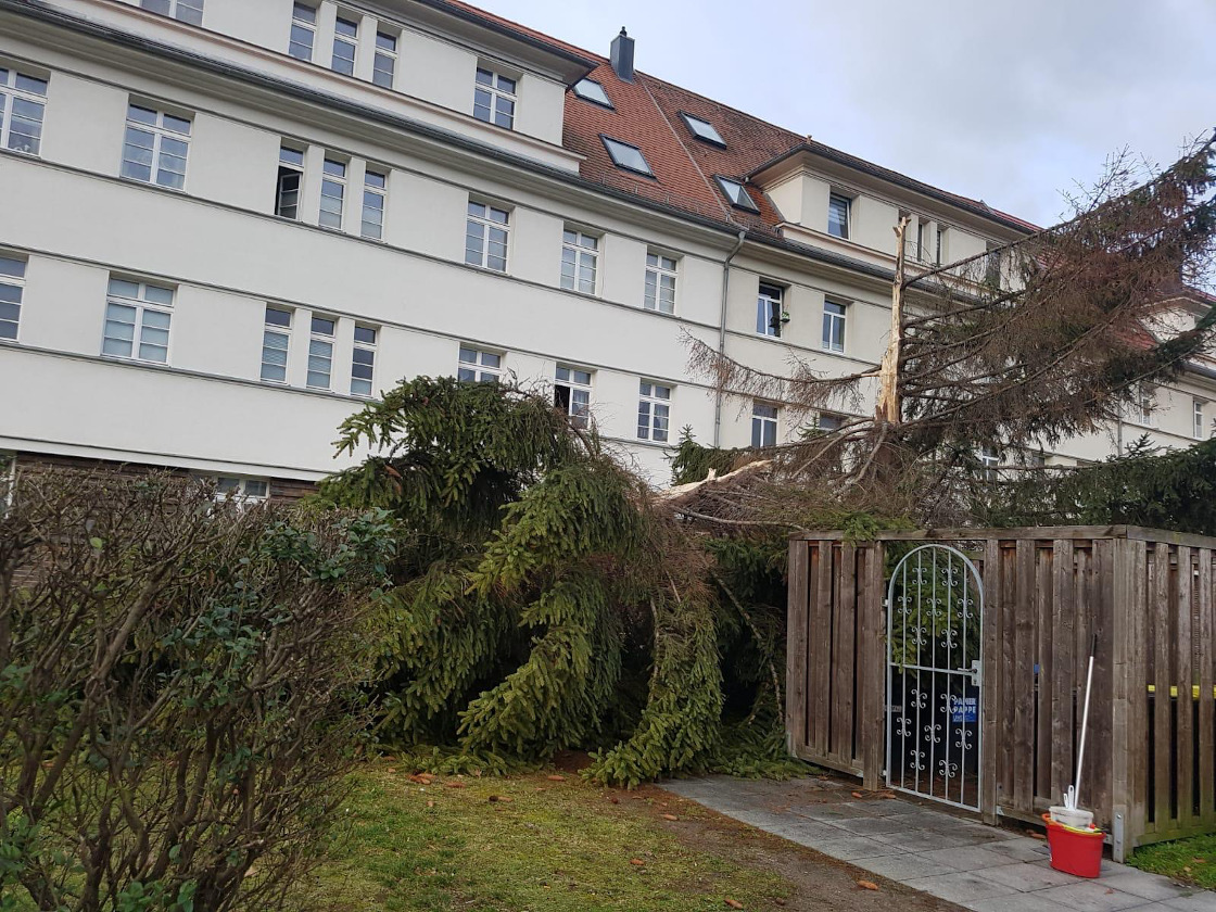 Sturmschäden und Windbruch Beseitigung